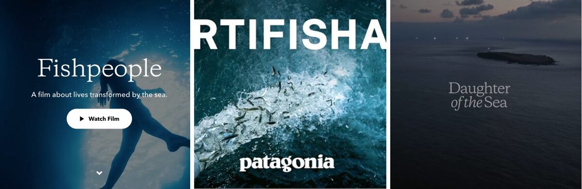 Patagonia Films